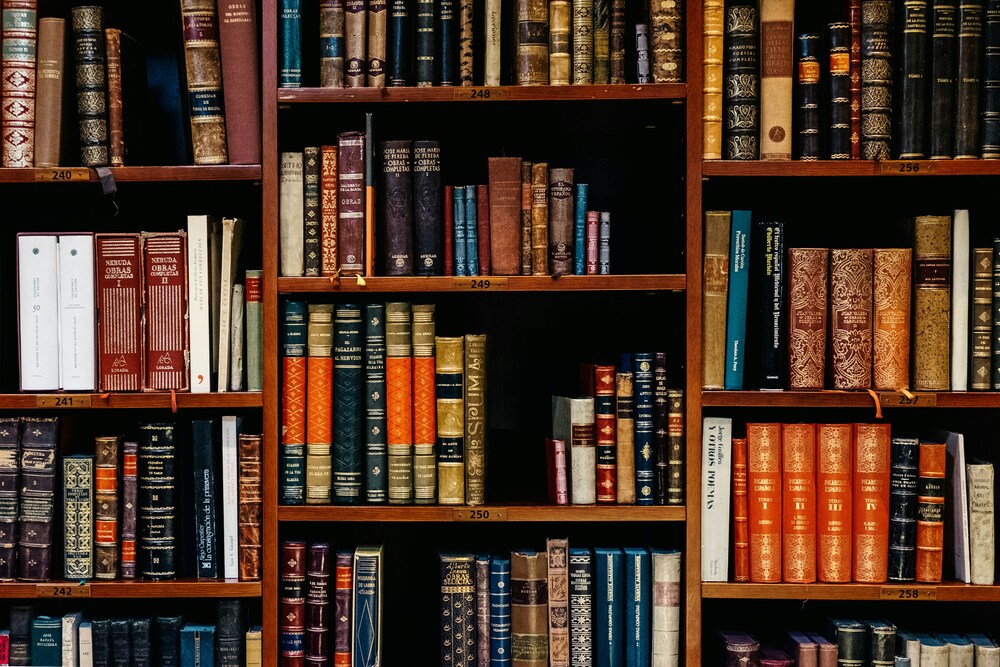 Academic Placeholder